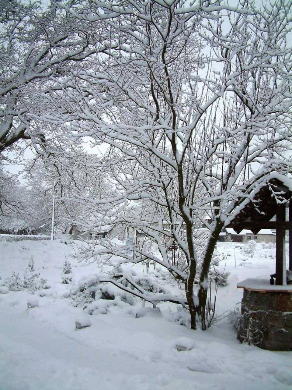Bodstedt Haus Jasmin 아파트 외부 사진
